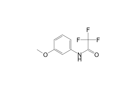 3-Methoxyaniline TFA