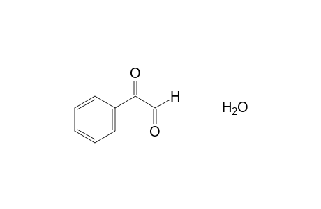 Phenylglyoxal monohydrate