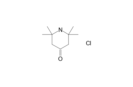 2,2,6,6-Tetramethyl-4-piperidone hydrochloride