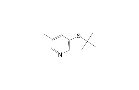 3-Picoline, 5-(tert-butylthio)-