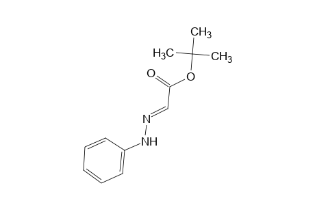 glyoxylic acid, tert-butyl ester, phenylhydrazone