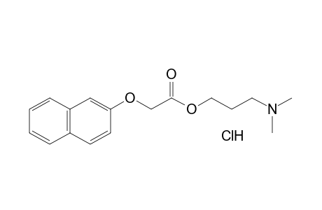 [(2-naphthyl)oxy]acetic acid, 3-(dimethylamino)propyl ester, hydrochloride