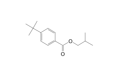 Benzoic acid, 4-tert-butyl-, isobutyl ester