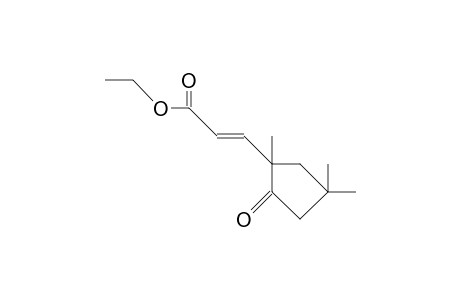 Ethyl-3-(1',4',4'-trimethyl-2'-oxo-cyclopentyl)-propenoate