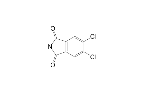 5,6-dichloroisoindoline-1,3-quinone