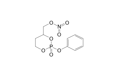 1,3,2-Dioxaphosphorinane, 4-(nitroxymethyl)-2-oxo-2-phenoxy-