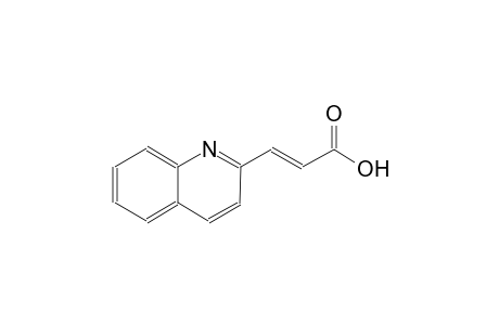 3-(2-Quinolinyl)acrylic acid