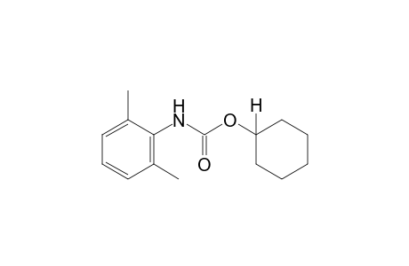 2,6-dimethylcarbanilic acid, cyclohexyl ester