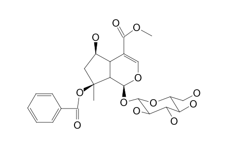 8-O-BENZOYLSHANZHISIDE METHYLESTER