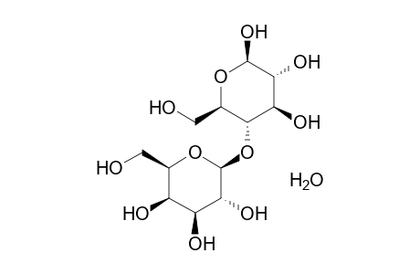 Lactose monohydrate