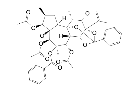 TRIGOXYPHIN_F