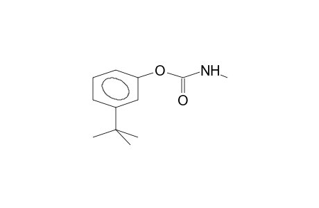 META-TERT.-BUTYLPHENYL-N-METHYLCARBAMATE