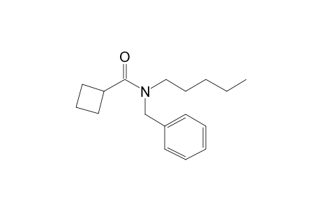 Cyclobutanecarboxamide, N-benzyl-N-pentyl-