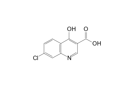 7-Chloro-4-hydroxy-3-quinolinecarboxylic acid