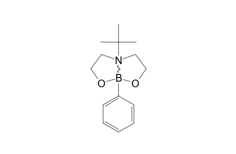 PERHYDRO-2-PHENYL-6-TERT.-BUTYL-1,3,6,2-DIOXAZABOROCINE