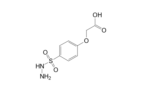 (p-sulfophenoxy)acetic acid, p-hydrazide