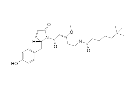 Ypaoamide