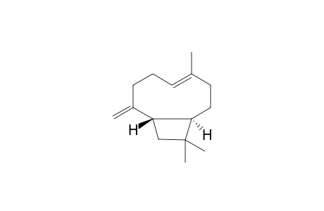 (E)-(1R,9S)-(-)-8-methylene-4,11,11-trimethylbicyclo[7.2.0]undec-4-ene