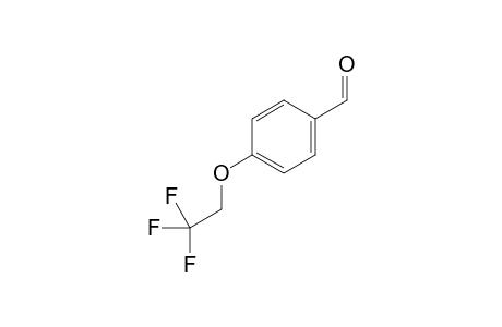 4-(2,2,2-trifluoroethoxy)benzaldehyde