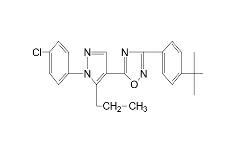 3-(p-tert-butylphenyl)-5-[1-(p-chlorophenyl)-5-propylpyrazol-4-yl]-1,2,4-oxadiazole