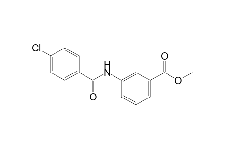 m-(p-chlorobenzamido)benzoic acid, methyl ester
