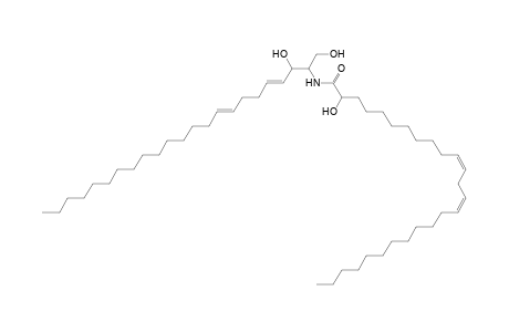 Cer 23:2;2O/26:2;(2OH)