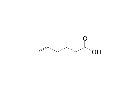 5-Hexenoic acid, 5-methyl-