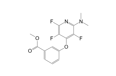 benzoic acid, 3-[[2-(dimethylamino)-3,5,6-trifluoro-4-pyridinyl]oxy]-, methyl ester