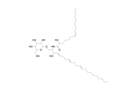 HexCer 22:3;2O/16:1;O