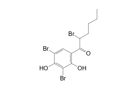 2',4'-dihydroxy-2,3',5'-tribromohexanophenone
