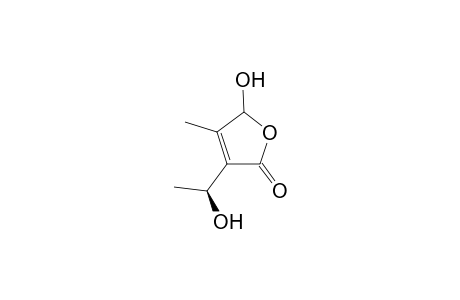 5-Hydroxy-3-[(1S)-1-hydroxyethyl]-4-methylfuran-2(5H)-one