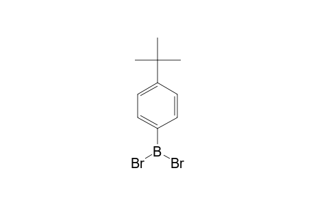 1-DIBROMOBORYL-4-TERT.-BUTYLBENZENE