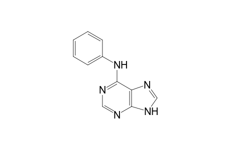 6-PHENYLAMINO-PURINE