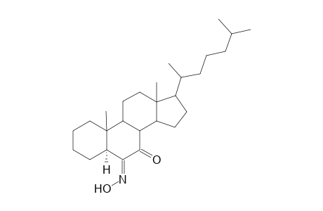 5.alpha.-chloestane-6.7-dione 6-oxime