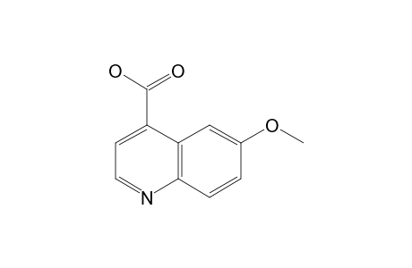 6-methoxycinchoninic acid