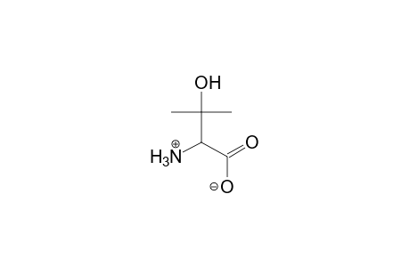 3-Hydroxy-L-valine