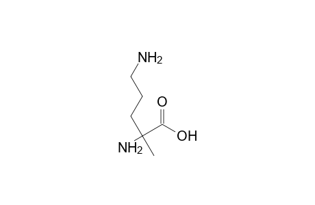 2-Methylornithine