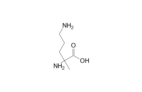 2-Methylornithine