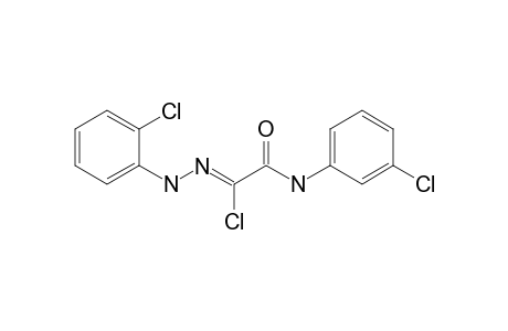 (1Z)-2-(3-chloroanilino)-N-(2-chlorophenyl)-2-keto-acetohydrazonoyl chloride