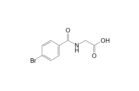 p-bromohippuric acid