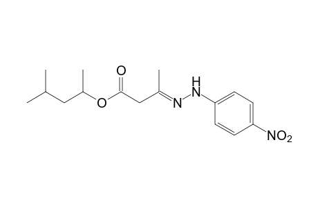 acetoacetic acid, 1,3-dimethylbutyl ester, p-nitrophenylhydrazone