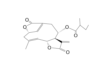 ELEPHANTOPIN,DESACYLISODEOXY,2'-METHYLBUTYRATE