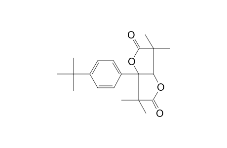 3a-(4-tert-Butyl-phenyl)-3,3,6,6-tetramethyl-tetrahydro-furo[3,2-b]furan-2,5-dione