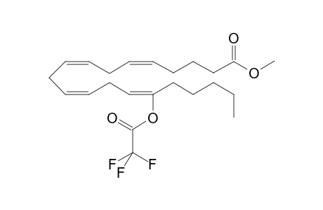 Arachidonic acid-M METFA             @