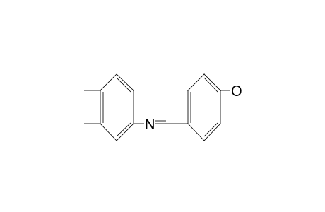 p-[N-(3,4-xylyl)formimidoyl]phenol