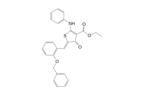 ethyl (5Z)-2-anilino-5-[2-(benzyloxy)benzylidene]-4-oxo-4,5-dihydro-3-thiophenecarboxylate