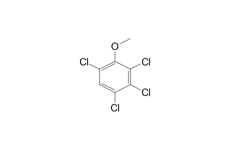 2,3,4,6-Tetrachloroanisole