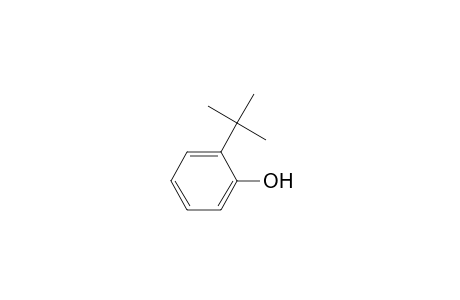 o-Tert-butylphenol