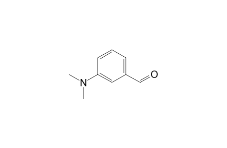 3-Dimethylamino-benzaldehyde