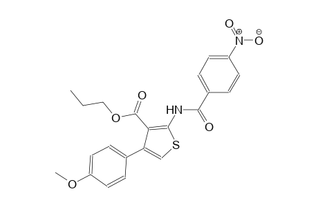 propyl 4-(4-methoxyphenyl)-2-[(4-nitrobenzoyl)amino]-3-thiophenecarboxylate